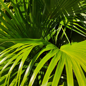 中国男女交性配
